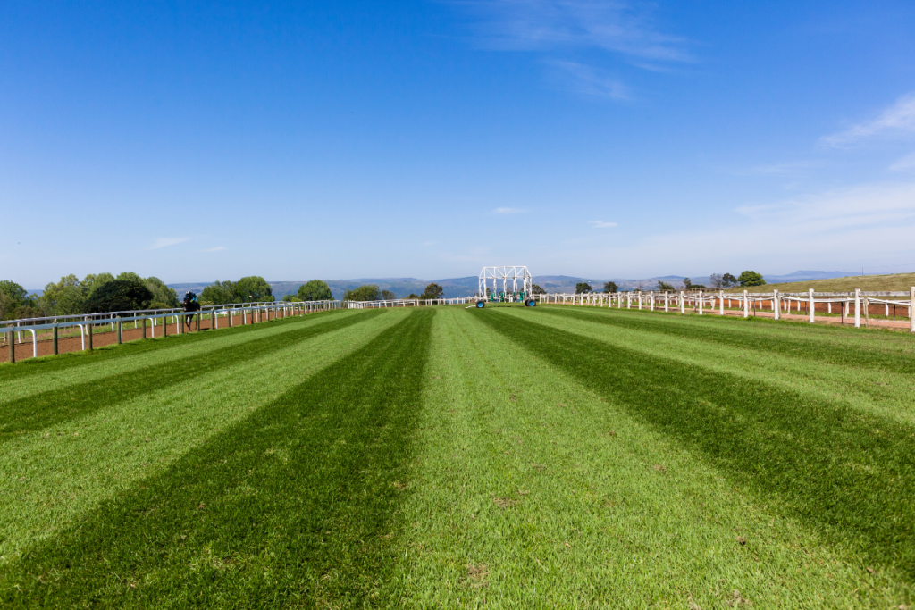 Don't run onto a horse racing track