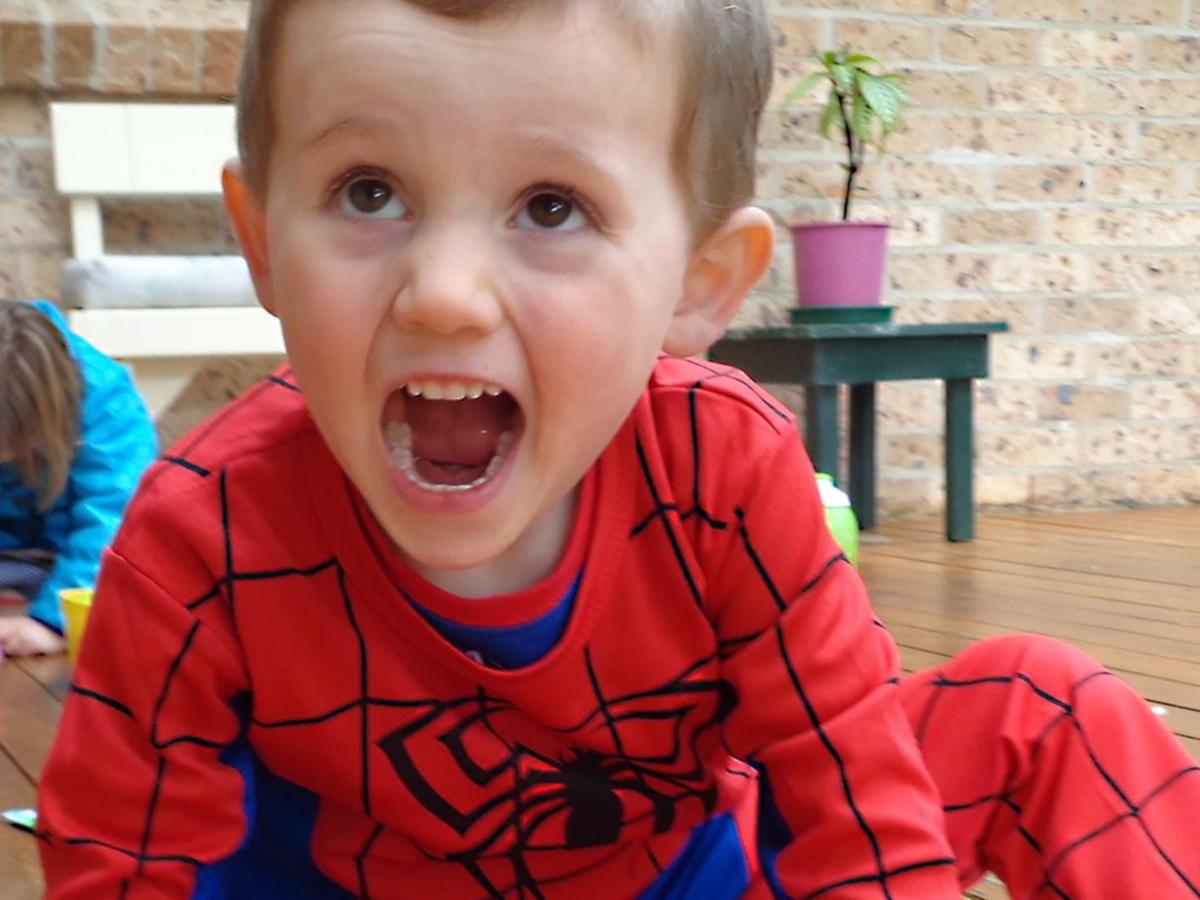 William Tyrrell’s foster mother section 14 application